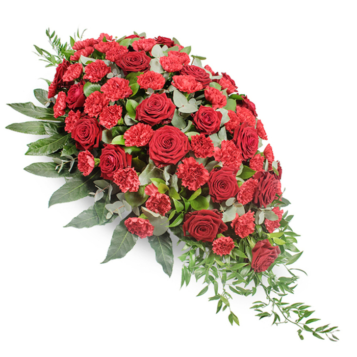 A substantial, meticulously crafted funeral flower arrangement is shown against a seamless white backdrop, its teardrop silhouette flowing from a broad, full head at the upper left to a fine, tapering trail at the lower right. The shape is reminiscent of a traditional casket spray, designed to rest gracefully across a coffin or as a focal tribute at a memorial. Deep red roses form the visual anchor throughout the spray. Their large, velvety blooms are fully open, with petals arranged in perfect spirals that lend a sense of luxury and solemnity. Between these roses, clusters of red carnations and spray carnations provide a lighter, brighter crimson, their ruffled, fringed petals filling every space and lending texture, softness, and a sense of abundance. The combination of roses and carnations evokes both classic romance and steadfast devotion, making the spray feel intimate and heartfelt rather than overly formal. Enveloping the flowers is a generous layer of mixed foliage. Wide, dark green leaves create a strong structural base, supporting the weight of the blooms and forming a rich green border that outlines the teardrop curve. Interspersed among the flowers, rounded eucalyptus leaves in silvery green introduce a cool, dusty tone that calms and balances the intensity of the reds. At the narrowing end of the spray, fine, trailing shoots of lighter green foliage, such as ruscus or similar greens, extend and cascade downwards, emphasising the sense of gentle movement and natural grace. The lighting is soft and neutral, drawing attention to the depth of colour and careful craftsmanship. This arrangement feels perfectly in keeping with a thoughtful farewell in Gerrards Cross, perhaps delivered to a quiet chapel near West Common or to a family home, where it would offer a beautiful, dignified expression of remembrance.