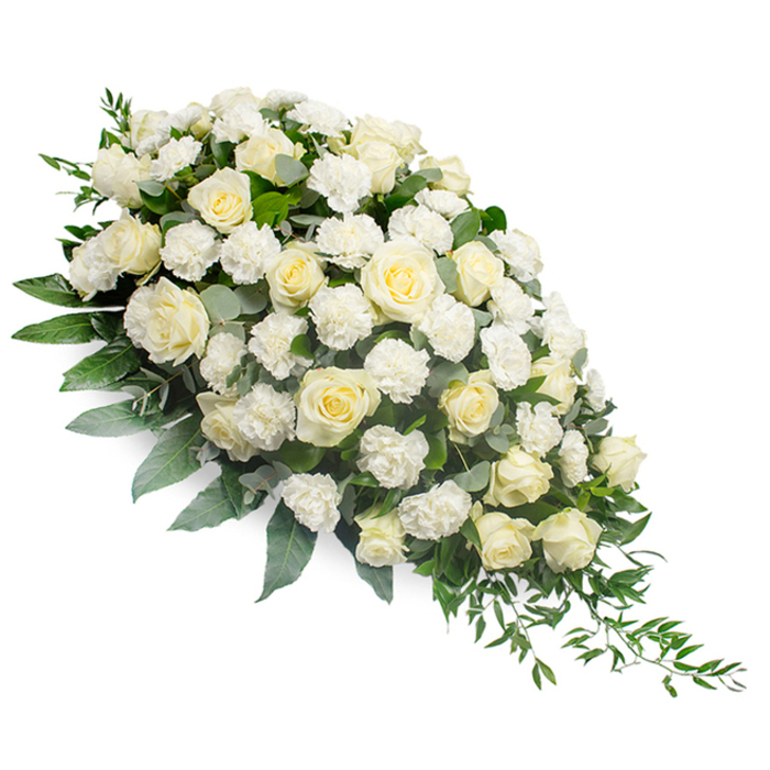Against a spotless white background, a luxurious white and cream funeral spray stretches diagonally like a quiet stream of flowers, wide and mounded on the top left, then narrowing into a slender, trailing tip on the bottom right. The central focus is a profusion of pristine white and ivory roses, each one meticulously placed. Some roses are still neat, rounded buds, others are half-open with cupped centres, and several are fully open, displaying intricate spirals of velvety petals that seem almost luminous. Woven among these larger blooms, clusters of smaller white carnations add gentle movement and texture, their ruffled edges catching tiny shadows and giving the whole spray a soft, cloud-like quality. The blossoms are supported by a layered bed of greenery. Silvery-green eucalyptus leaves, broad and slightly curved, introduce a cool, calming tone, while deeper green foliage anchors the base. Slender ruscus or similar trailing greens arc out from beneath the flowers, particularly along the tapered right edge, creating a sense of flow and echoing the natural shapes seen in the wooded lanes around Gerrards Cross. The overall design feels composed yet organic, as though it has been carefully shaped by an experienced local florist who understands the quiet dignity required for a final tribute. The colour palette of white, cream, and green conveys purity, peace, and lasting respect, making this spray suitable for adorning a casket, standing beside the altar of a church in Gerrards Cross, or resting near a photograph at a memorial gathering. This image captures a classic, serene sympathy arrangement that offers solace and honour in equal measure, a floral expression of remembrance for families saying goodbye.