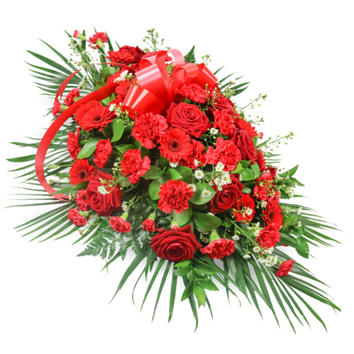 A grand red floral tribute is carefully styled as an elongated spray, lying horizontally against a bright white background that accentuates its rich, ceremonial tones. The design builds from a densely packed central cluster of flowers that gradually narrows towards each end, forming a teardrop or crescent outline often chosen for casket sprays and formal memorial arrangements. In the centre, lush red roses steal the eye, their petals layered like soft silk, some buds still cupped close and others fully unfurled to reveal deep, shadowed hearts. Nestled among them are numerous red carnations, whose tightly ruffled heads bring a cushion-like texture, and striking red gerberas that open in flat, symmetrical disks, each petal radiating outward with calm assurance. Interspersed among the crimson tones are tiny white filler flowers-likely baby's breath or small chrysanthemums-appearing as delicate flecks of light, offering gentle relief from the intensity of the reds and creating visual breathing space. The entire length of the spray is anchored by abundant greenery. Long, dark green palm fronds stretch from the base and sides, giving the piece its signature flowing shape and a hint of tropical elegance. Behind and between the blooms, darker, oval leaves, such as salal or ruscus, provide a solid, leafy foundation, while fine, feathery fern fronds break the outline and add a soft, natural movement. Near the top, a large red satin bow commands attention, its multi-looped form glossy and formal, with ribbon tails that weave thoughtfully through the flowers. This refined arrangement would sit comfortably at a solemn service in Gerrards Cross, perhaps in a peaceful setting near Bulstrode Park, expressing profound love, courage, and remembrance through its unwavering red palette.