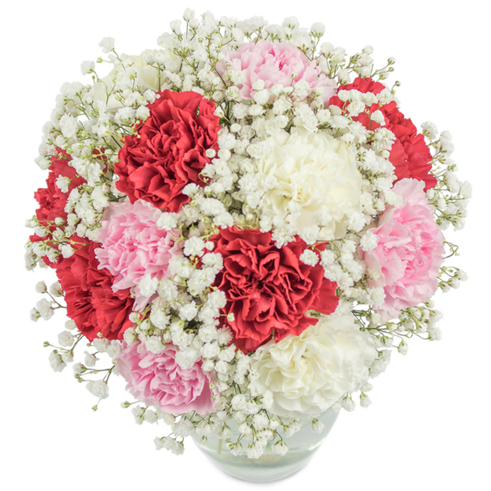On a crisp white backdrop, this abundant floral bouquet unfurls with a lush harmony synonymous with the welcoming ambience of Gerrards Cross. Generous clusters of carnations-each blossom richly pigmented in red, pastel pink, and creamy white-are skillfully showcased, every petal dense and ruffled, forming a striking, spherical mass. Interspersed throughout, delicate baby's breath lends a whimsical, ethereal texture akin to the fresh air wafting across the greens near Bulstrode Park. The clear glass vase, subtly exposing the tangle of sturdy stems within, underscores the bouquet's natural vitality and freshly-cut charm. Bathed in bright, even daylight, the full palette of hues from fiery crimson to tranquil white pops vividly, making this arrangement a celebration of joy and affection. Whether gifted for an anniversary, to mark Mother's Day, or to offer heartfelt thanks, the bouquet brings the honest craftsmanship and artistry that defines florists in Gerrards Cross. It stands as a comforting, classic centrepiece-ideal for marking life's happiest occasions or gracing any home from Windsor Road to the leafy lanes near the Common.