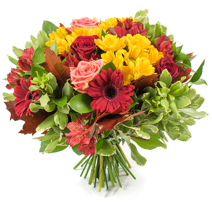 Set against a pristine white surface, this lush, rounded hand-tied bouquet celebrates autumn with a rich, comforting palette and thoughtful florist technique. Several deep, velvety red roses form a timeless center, their layered petals catching light and shadow, while wide, deep crimson Gerbera daisies provide dramatic, circular focal points with slightly darker, textured centers. Sprays of small bright yellow chrysanthemum-like blooms are plentiful, scattering warmth across the composition and creating a lively, tactile contrast to the deeper reds. Delicate coral and blush-toned roses are interspersed to soften the intensity, their gentle hues creating pauses of tenderness among the more saturated flowers. Narrow, speckled alstroemeria in shades of red and orange introduce slender, star-shaped gestures that animate the bouquet's surface. The foliage plays an equally important role: glossy dark-green leaves give weight and richness, lighter and variegated greens offer visual lift, and several large reddish-brown, oak-like or maple-like leaves are strategically woven in to emphasize the fall narrative and add an honest, rustic texture. The stems are gathered and tied at the base-green stalks visible and neatly aligned-indicating careful hand-tying and immediate freshness. Under soft natural light the petals appear almost luminous and the whole arrangement suggests the scent of late-season blooms and dried leaves. Ideal as a Thanksgiving centerpiece or a seasonal gift for neighbours around Gerrards Cross town centre or visitors returning from Chalfont St Peter, this bouquet speaks quietly of warmth, gratitude, and the changing season.