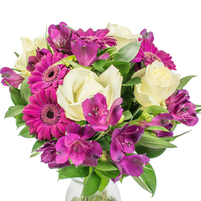 This vividly coloured arrangement, set on a stark white background, reads like a modern love letter in magenta and cream. Bold magenta Gerbera daisies dominate at first glance - each large bloom composed of tightly packed, spoon-shaped petals that fan out from an intricate, darker centre - exuding a buoyant, joyful mood. Nestled beside them are creamy white roses, their petals folding inward with a soft, almost buttery texture that tempers the Gerberas' exuberance and introduces a tender, classic romance. Interspersed throughout the bouquet are sprays of purple Alstroemeria (Peruvian lilies), their delicate trumpets bearing fine speckled markings and lending a whisper of exotic elegance that draws the eye into the arrangement's mid-tones. A generous complement of deep green foliage - glossy broad leaves and slender, sword-like fronds - frames the blooms and builds the bouquet's rounded silhouette; the leaves add a living contrast that accentuates each petal's colour and the gentle play of shadow in the studio light. A subtle edge of a clear glass vase appears at the base, grounding the composition and suggesting a clean, contemporary display. Imagining the scent, one notices a soft rosy sweetness underscored by fresh green stems; the combination feels like a cool morning breeze in a small town market. Whether offered as a bright, caring gift for a neighbour in a Gerrards Cross cul-de-sac or as an elegant focal piece for a sitting room near Denham Country Park, this bouquet radiates warmth, professionalism, and a thoughtful balance between spirited colour and refined form.