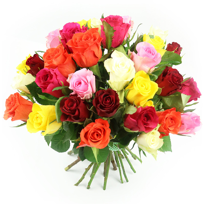 A striking dome of multi-coloured roses is captured in sharp focus against a smooth white backdrop, the kind of abundant hand-tied bouquet you might see being carried along Packhorse Road in Gerrards Cross on a celebratory afternoon. The flowers are arranged so closely that the bouquet appears almost spherical at the top, with layers of petals overlapping in a rich tapestry of colour. Deep crimson and classic ruby red roses provide an anchor of passion and romance, while soft blush pinks and powdery pastel tones add a tender, affectionate feeling. Scattered among them are more daring pops of bright fuchsia, giving the design a modern flair. Golden yellows and glowing orange roses weave through the bouquet like threads of warmth, evoking happiness and optimism, while creamy white and pale ivory blooms lend a calming, graceful note that keeps the palette harmonious rather than overwhelming. Each rose looks fresh and carefully selected, some blossoms fully open to display their intricate rosette of petals, others partially closed, hinting at continued unfolding beauty over the coming days. Dark, glossy green leaves punctuate the mass of colour, glimpsed between stems and petals, subtly reminding you that these are living, breathing flowers. Beneath the crowded heads, the straight green stems are gathered snugly and bound by a green and white gingham ribbon, the check pattern adding a touch of nostalgic charm that feels suited to a village-style celebration or a relaxed garden party. The bright, even lighting accentuates the natural texture of the petals and the healthy sheen of the foliage, creating an image that suggests the joy of receiving a fresh, expertly arranged rose bouquet delivered locally in Gerrards Cross for birthdays, anniversaries, thank-yous, or simple everyday kindness.