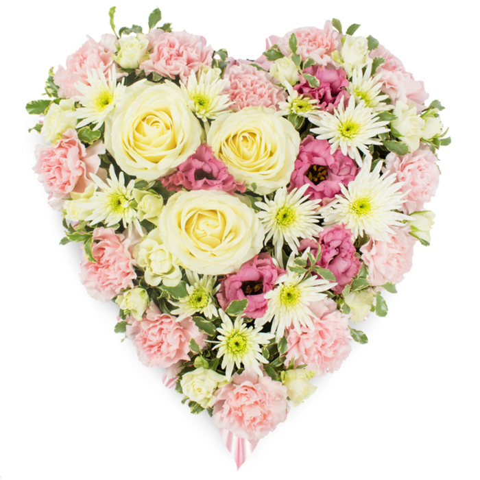 A richly detailed, heart-shaped floral arrangement is shown against a spotless white backdrop, its colours and textures combining to create a moving tribute of love and remembrance. The outline of the heart is clearly defined by layers of pastel pink carnations, their tightly packed, ruffled petals forming a soft, undulating border that feels almost like fabric. Within this gentle frame sit several striking roses in creamy ivory and pale yellow, their perfectly spiralled centres opening in generous, velvety layers. These roses serve as emotional anchors, drawing the gaze to the centre of the design and symbolising the core of affection and memory that remains after loss. Radiating out from between the carnations and roses are white spider chrysanthemums, each bloom composed of fine, spiky petals that spray outward from fresh green hearts, adding intricate texture and crisp contrast. Deeper notes of colour come from rich magenta-pink lisianthus, whose graceful, bell-shaped flowers curl slightly at the edges, giving the arrangement a romantic yet dignified depth. Small touches of variegated foliage and tender green leaves are tucked throughout, bringing a hint of woodland freshness that feels reminiscent of the calm greenery around Austenwood and the leafy streets of Gerrards Cross. At the tip of the heart, a soft pink ribbon trails discreetly into view, indicating the piece is intended as a funeral or sympathy tribute, perhaps to be delivered to a local chapel or crematorium. The carefully balanced palette of pink, cream, white, and magenta, combined with the lush, full coverage of blooms, makes this floral heart a quietly powerful expression of compassion, support, and enduring love.