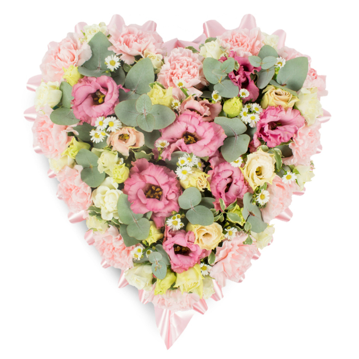 A meticulously crafted heart-shaped floral arrangement rests against a bright white background, the kind of refined tribute often chosen in Gerrards Cross to express deep love and sympathy when words feel insufficient. The heart's outline is clearly sculpted with numerous pale pink carnations, their soft, tufted heads packed closely together to form a plush, almost cushion-like border. Through this pastel fringe, a light pink satin ribbon winds its way around the perimeter, its subtle shimmer catching the light, and gathering into neatly tied bows at both the dip of the heart and its lower point. Inside this ribbon-framed border, the florist has layered flowers with great care, creating an abundant, full appearance where each bloom seems to lean gently into the next. Large, ruffled lisianthus blossoms in vibrant shades of pink and rosy mauve take centre stage, their petals unfolding in delicate whorls that evoke tenderness and grace. Clustered among them are smaller, creamy spray roses and buds in soft yellow and ivory, adding warmth and a sense of gentle radiance. Dotted here and there, tiny white daisy-like flowers with cheerful yellow centres lift the entire palette, like little moments of light breaking through a quiet day of mourning. Curved sprigs of eucalyptus, with their rounded, silvery-green leaves, slide between the blossoms, lending a cool, calming tone and a hint of natural fragrance, while deeper green foliage enhances depth and structure. The overall composition feels balanced and serene, a thoughtfully designed floral heart suitable for resting beside a casket, at the front of a chapel, or on a memory table at a wake in Gerrards Cross, offering a visual embrace of comfort, remembrance, and unwavering affection.