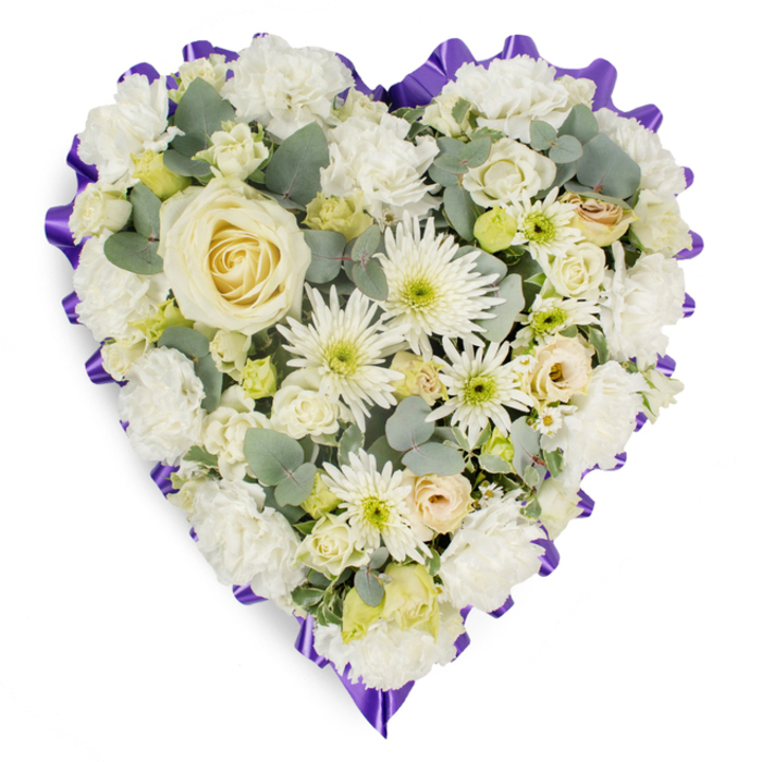 A striking heart-shaped floral tribute designed for a funeral or memorial service is shown against a simple white backdrop, allowing its refined details to take centre stage. The heart is densely packed with white and cream blossoms, carefully arranged so that no underlying base is visible, giving the piece a luxurious, full-bodied presence. At its focal point is a large creamy white rose, poised perfectly in the centre, its petals opening in a smooth spiral that feels both tranquil and deeply symbolic. Around this central rose, layers of soft white carnations expand outward, their ruffled petals overlapping like delicate fabric, building a sense of comfort and tenderness. Between them, white spider chrysanthemums stretch their fine, spidery petals, their pale green centres offering the faintest suggestion of colour and movement. Smaller rosebuds in shades of cream and ivory, some tinged with the lightest hint of lemon or blush, are tucked thoughtfully into the design, echoing personal memories and quiet moments. Throughout the heart, cool eucalyptus foliage is threaded in small clusters, the silvery-blue leaves adding gentle contrast and giving the eye a resting place among the sea of white. Encircling the entire design, a deep purple, pleated ribbon forms a distinctive scalloped border, crisp and structured, framing the heart with a sense of ceremony and respect. It is the kind of piece a family in Gerrards Cross might order to rest beside a casket in a local chapel or to accompany a service at a nearby crematorium, its serene palette reflecting both sorrow and gratitude. Every bloom appears fresh and carefully placed, suggesting the thoughtful, hands-on work of an experienced florist who understands the emotional weight of saying goodbye and the comfort that a beautifully crafted tribute can bring.