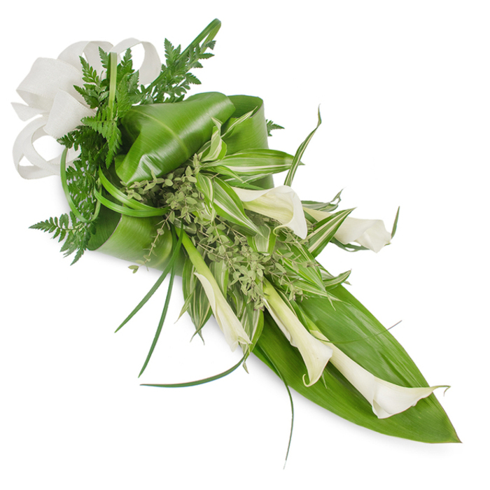 A sophisticated, elongated cascade of white and green presented against immaculate white, arranged to draw visual movement from the top-left corner down to the bottom-right in a modern, diagonal flourish. The composition is anchored by several creamy white Calla Lilies, their trumpet-shaped blooms alternately open and in tighter bud, each with a satin finish that reflects a soft studio light and suggests freshness and quiet grace. Beneath and around them, broad, deep-green tropical leaves-some gently folded and wrapped-give weight and architectural form, while variegated leaves with pale stripes animate the central area with light and pattern. Fine, feathery fern fronds and small, pale green herbaceous sprigs thread through the arrangement, creating subtle textural contrast and an airy, herbal scent that lifts the composition. Thin, grass-like blades sweep outward, reinforcing the bouquet's graceful linear rhythm. A textured, off-white fabric bow at the fuller, top-left end-evoking linen or burlap-finishes the piece with an artisanal touch. This arrangement reads as both contemporary and timeless: a tasteful choice for a minimalist bridal bouquet, an understated anniversary gift, or a dignified tribute at a memorial, offering calm elegance. As a florist familiar with commissions for nearby chapels and private parties around Gerrards Cross station and the High Street, I picture it placed where its clean lines and natural textures can be appreciated up close, its presence quietly elevating the room with refined botanical beauty.