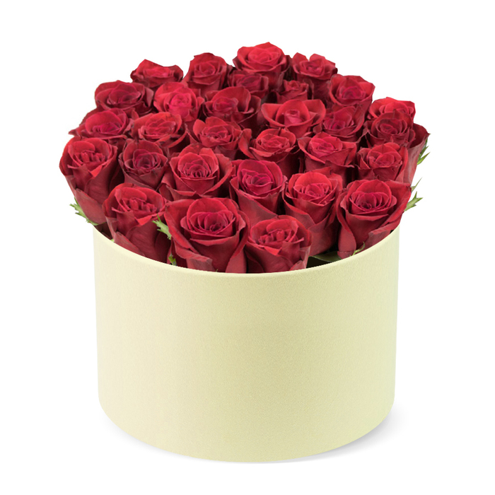 A stunning, high-quality floral arrangement featuring approximately two dozen or more deeply rich, velvety red roses meticulously arranged and filling a round, elegant cylindrical box. Each rose showcases tightly furled petals with a luxurious, dark crimson hue, some revealing the intricate spirals of partially opened buds. Subtle hints of dark green foliage peek out from between the rose heads, adding a fresh, natural contrast.

The sophisticated container is a smooth, creamy ivory or pale yellow-colored box with a matte finish, providing a soft backdrop that makes the vibrant red roses truly pop. The entire arrangement is photographed on a clean white background, emphasizing its exquisite presentation and isolation as a premium product. This image conveys themes of love, passion, and appreciation, making this red rose box an ideal gift for romantic gestures, Valentine's Day, anniversaries, birthdays, or any special occasion where a luxurious and heartfelt floral gift is desired. In Gerrards Cross, it would sit proudly on a coffee table in a stylish home near The Broadway after a stroll along Packhorse Road. Crafted with care by a local florist, the piece feels sophisticated and timeless, with every stem placed to achieve balance and depth, making it a memorable keepsake even after the petals fall.