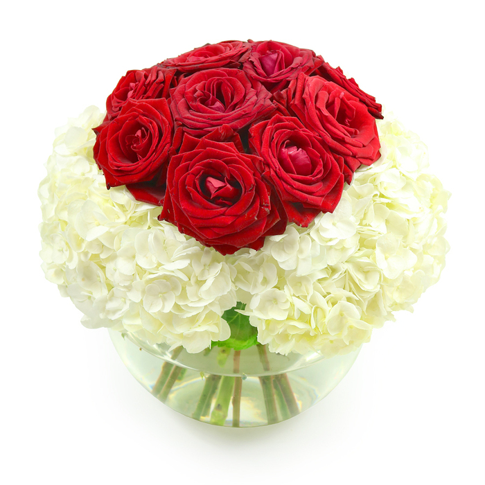 An elegant, dome-shaped bouquet is displayed against a bright white background, showcasing a timeless pairing of red roses and white hydrangeas often requested for anniversaries in Gerrards Cross. At the top of the design, around ten to twelve deep red roses are clustered tightly together in a rounded mound, their velvety petals overlapping in rich, layered spirals. Some blooms are perfectly open, revealing their hearts, while others hold a slightly cupped shape, lending the arrangement a natural variety and a sense of quiet movement. The crimson colour is intense and romantic, suggesting heartfelt devotion and long-standing affection, the sort of gesture a local couple might send to celebrate years spent together near Bulstrode Park or strolling through the village centre. Beneath this crown of roses, a generous mass of white hydrangeas forms a lush, enveloping collar. Each hydrangea head is composed of many small, closely packed florets, creating a soft, cloud-like texture that contrasts beautifully with the smooth rose petals. The creamy white hue adds brightness and purity to the overall design, making the red roses appear even more vivid. The arrangement is nestled in a clear, round glass vase, reminiscent of a small fishbowl, partially filled with clean water. Through the curved glass, the stems of the roses and hydrangeas can be seen crossing and intertwining, their fresh green tones adding a natural, grounding element to the airy flowers above. Light glints off the water and glass, enhancing the modern yet classic feel. Crafted with precision and care, this bouquet would make a stunning centerpiece on an anniversary table in Gerrards Cross or a meaningful surprise delivered by Flower Delivery Gerrards Cross to mark a special milestone of love and commitment.