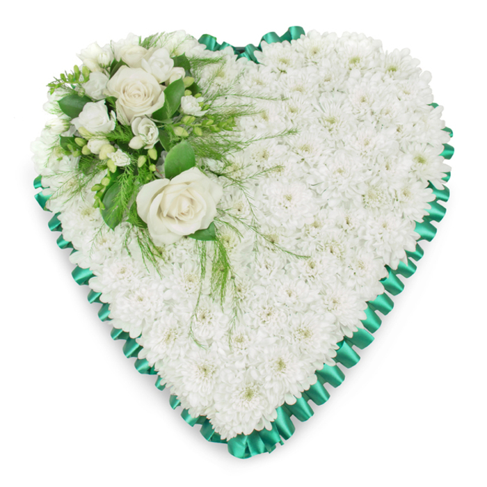 A meticulously crafted heart-shaped funeral arrangement is displayed against a crisp white backdrop, its simplicity allowing every floral detail to stand out with clarity. The main body of the heart is densely covered with small white chrysanthemums, sometimes called spray mums, their petals forming a snug, textured surface that looks as soft as freshly fallen snow. Each bloom is set closely beside the next, creating an unbroken field of white that symbolises purity, serenity, and the gentle stillness of remembrance. Framing this cushion of flowers is an emerald green satin ribbon, pleated and ruffled all the way around to produce a delicate scalloped border. The ribbon's subtle shine catches the light with each fold, lending structure and elegance while echoing the rich greens seen in the parks and tree-lined avenues around Gerrards Cross. Positioned in the upper left arc of the heart is a carefully composed accent cluster, drawing the eye like a gentle pause in a conversation. Here, fully opened white roses sit at the centre, their creamy petals unfolding in layered spirals. Smaller white flowers such as freesias or similar delicate blooms are nestled around them, some still in bud, promising a quiet continuation of life. Surrounding foliage in various textures-from broad, glossy leaves to fine, feathery fronds that trail softly across the chrysanthemum base-adds depth and a natural, garden-fresh feel. The overall design radiates tranquillity and respect, perfectly suited for families in Gerrards Cross wishing to send a heartfelt floral tribute to a funeral, chapel of rest, or graveside. It conveys sympathy, enduring love, and a comforting presence at times of loss.