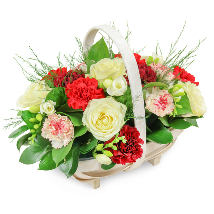 A classic funeral flower arrangement is displayed in a light wooden basket, thoughtfully composed to offer solace and respect at a time of loss in Gerrards Cross. The basket itself is shallow and oval, crafted from pale wood slats with a smooth, arched handle spanning from side to side, giving the design a gentle, traditional character. Four unobtrusive feet raise the base slightly, creating a sense of poise and formality suited to a memorial or funeral service. Within this frame, the flowers are massed into a rounded, dome-like shape, densely packed so that no gaps break the flowing surface of petals and leaves. Creamy white roses stand out first, fully open and velvety, with softly cupped centres that speak of grace, remembrance, and a peaceful goodbye. Nestled among them, rich red carnations introduce depth and emotional warmth, their tightly ruffled petals forming almost cloud-like clusters of scarlet. Some blooms are delicately variegated, white or pale pink petals accented with fine red edges and flecks, adding a quiet, personal feel to the arrangement, as though each flower holds a memory. Small white blossoms, reminiscent of freesias, thread through the larger flowers, their slim, arching stems and bell-shaped florets lifting the design and adding a touch of light and air. A thick bed of foliage anchors everything: broad, glossy leaves provide structure and contrast, while feathery fern or asparagus greenery softens the outline and creates gentle movement. Set against a crisp white backdrop, every colour and texture is clearly defined. The overall impression is one of calm, heartfelt tribute, appropriate for funeral ceremonies, cremations, or remembrance gatherings throughout the Gerrards Cross community.