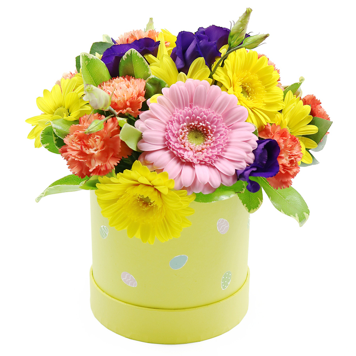 A joyful Easter-themed hatbox arrangement bursts with colour against a clean white background, bringing to mind the fresh, uplifting atmosphere of spring mornings in Gerrards Cross. The flowers form a well-rounded, compact dome, so generously filled that petals seem to brush one another in a harmonious tapestry of hues. Dominating the centre is a large, soft pink Gerbera daisy, its many fine petals radiating delicately from a pale, apple-green center, like a sun rising over the leafy streets near the Gerrards Cross railway bridge. Surrounding this star bloom are plentiful yellow chrysanthemums, their daisy-like faces and narrow, radiating petals creating a bright ring of cheerful light. Interwoven among the yellows, plush coral-orange carnations add structure and warmth, their ruffled, almost feathery blooms building gentle layers of texture. Deeper shades enter through rich violet-purple lisianthus, their elegant, slightly cupped petals offering a sophisticated contrast that keeps the eye moving across the arrangement. Lush green foliage provides a fresh backdrop, some leaves a deep, glossy green, others touched with subtle pale edges that lend variety and depth, reminiscent of mixed greenery from local hedgerows. All of this sits snugly in a pastel yellow-green cylindrical hatbox, its sides adorned with charming, scattered Easter egg motifs in light blue, pink, and white, a few accented by tiny dots or stripes that capture the spirit of seasonal celebration. This abundant design feels perfect as a centerpiece for Easter lunches, spring family gatherings, or thoughtful gifts, ready to be delivered to homes and churches around Gerrards Cross with the care of a local florist.