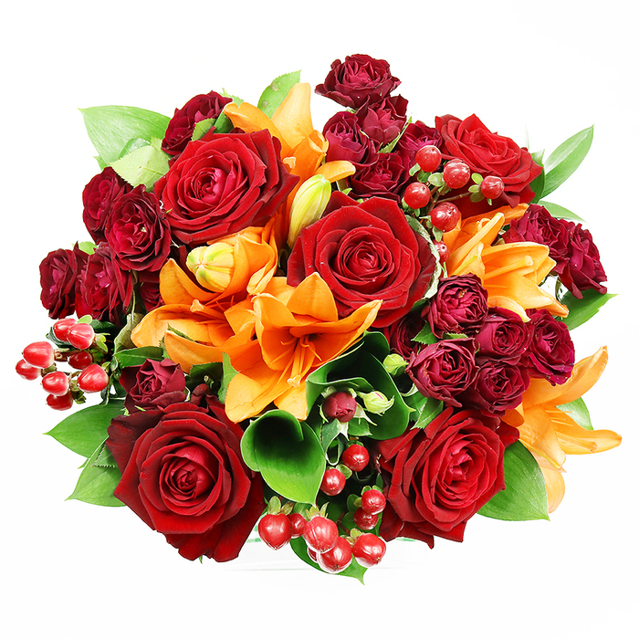 Captured from above on a white field, this opulent bouquet forms a perfectly rounded, tightly composed statement of colour and texture. Deep crimson roses dominate the eye, their thick, velvety petals unfolding into complex, romantic centres that read as a classic emblem of devotion. Interspersed are bright orange Asiatic lilies, their trumpet-like blooms thrusting forward with visible stamens and occasional dark speckling, some flowers fully open and others hesitantly budded - a choreography of different bloom stages that gives the design movement and promise. Small spray roses in a wine-red or burgundy tone nestle in between, their clustered heads creating dense, tactile pockets that intensify the bouquet's depth and provide a luxury of layered colour. Scattered among the petals are glossy hypericum berries, spherical and reflective, which serve as tiny, festive beacons within the composition. Beneath and between the flowers, broad, glossy leaves-likely ruscus or salal-offer a cooling green counterpoint, framing the warm tones and enhancing the arrangement's visual volume. The lighting is soft and flattering, revealing the contrast between the roses' matte velour, the lilies' luminous silk, and the berries' glassy shine. As an experienced florist who often sources stems from nearby growers and arranges for homes across Gerrards Cross and neighbouring Beaconsfield, I see this bouquet as suited to anniversaries, birthday celebrations, or as a richly romantic offering for seasonal décor; it reads as both a statement of affection and a piece that brings warmth into any room it is placed in.