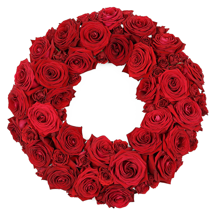 This vibrant circular wreath is crafted entirely from dozens of fresh, deep red roses, set against a crisp white backdrop. The wreath is densely packed, a plush surface of velvety petals. Large, fully opened heads dominate the circle, their spiraling centers drawing the eye, while smaller, partially opened roses and tightly clustered buds fill gaps and add depth. The colour remains a rich ruby red throughout, with no visible greenery in the arrangement, allowing the floral form to speak with a single, intense focus. It is a design that embodies both romance and solemnity, suitable for a wide range of occasions.

From our Gerrards Cross studio, the wreath carries a distinctly local touch-the careful balance of scale that works whether displayed on a mantel, propped on a stand for a ceremony, or shipped for delivery to a home along the High Street. The petals' curves and folds are captured in soft light, revealing how the flowers are assembled to create a continuous ring with a generous hollow center, a timeless motif that invites quiet contemplation. The fragrance, though subtle in the image, hints at freshness and the promise of scent once indoors.

This piece is available through Flower Delivery Gerrards Cross for same-day delivery across the town and nearby villages within Buckinghamshire. It speaks of love, respect, memory, and grace-a versatile tribute for weddings, anniversaries, memorials, or a refined gift of sympathy in the Chilterns air. Crafted with meticulous attention to form, it stands as a testament to the craft of a local florist who understands the rhythm of Gerrards Cross life.