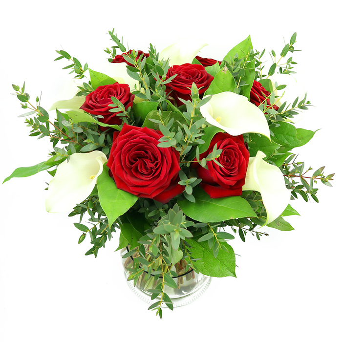 In this photograph, a classic yet contemporary bouquet of deep red roses and white calla lilies is arranged in a rounded, full shape and presented in a clear glass cylinder vase, all set against a crisp white studio background. At the centre, approximately six to seven red roses hold the eye, their velvety petals forming intricate spirals that radiate from tightly furled hearts to gently ruffled outer edges, each bloom a rich shade of crimson that suggests enduring love and refined style. Threaded through these roses, four or five calla lilies extend upward, their trumpets of creamy white unfurling smoothly from green stems, with a faint sheen that catches the light. The lilies' elongated curves bring a sculptural line to the arrangement, and their pale yellow spadices add a subtle touch of colour at the core of each bloom. Around them, a variety of greenery creates a layered, textural backdrop: eucalyptus with its small, rounded leaves introduces a silvery-blue cast and a feather-light feel, while larger emerald leaves, perhaps salal or ruscus, form a dense, glossy framework that makes the reds and whites pop. Through the transparent vase, the parallel green stems are clearly visible, submerged in clear water, enhancing the impression of freshly gathered flowers. Bright, even lighting smooths across the petals and leaves, creating a vibrant yet tranquil mood. This is the sort of bouquet a local Gerrards Cross couple might choose for an anniversary dinner at home near Bulstrode Way, or have delivered as a thoughtful romantic gesture by Flower Delivery Gerrards Cross to a loved one living close to Austenwood Common, where its elegant simplicity would instantly lift the room.