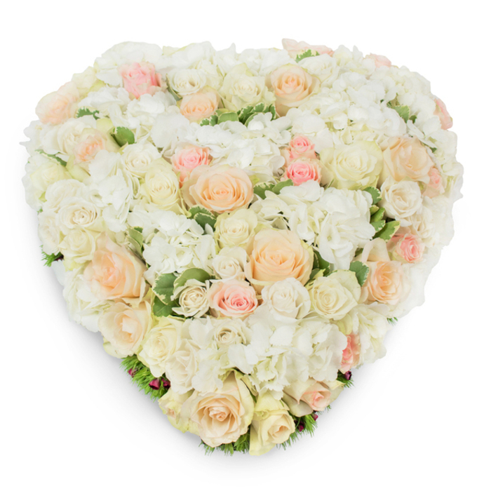 Presented with a slightly elevated viewpoint against a bright white background, this heart-shaped floral composition is an exercise in refined tenderness and precise craftsmanship from a local florist's perspective. The heart is densely composed of roses in a harmonious palette: luminous white, warm cream, soft pale peach, and a delicate blush pink. Roses at different stages - from tight, sculpted buds to expansive, velvety blooms - create a rhythmic surface punctuated by the neighboring clusters of immaculate white hydrangea, whose multi-petaled heads lend a plush, cloud-like volume to the overall form. Subtle, deep-green variegated foliage peeks through the blooms, especially along the lower arc of the heart, providing a fresh underpinning that amplifies the softness of the petals and carefully defines the silhouette. Photographed under gentle, diffused light, a faint shadow grounds the piece and reveals the sculptural build and attentive wirework or foam support hidden beneath. The bouquet conveys a peaceful dignity and heartfelt sentiment, whether chosen as a romantic emblem for anniversaries and weddings or as a solemn, comforting tribute at a memorial service. As a Gerrards Cross-made design, Flower Delivery Gerrards Cross crafts this piece with locally sourced, premium-cut flowers that reflect the area's tasteful, understated traditions - from quiet floral commissions on the High Street to tributes arranged for services near the station or in nearby Beaconsfield - offering both beauty and consolation.