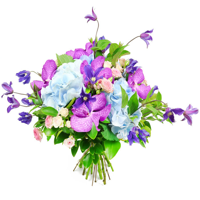 Photographed against a clean white studio background, this luxurious bouquet appears almost to float, its colours and textures unfolding like a gentle story you might encounter in a quiet corner of Gerrards Cross. The arrangement is anchored by generous, ruffled heads of light blue hydrangeas, their countless soft petals overlapping in rounded clusters that resemble summer clouds drifting above Austenwood Common. Nestled among these are striking orchids in vivid fuchsia and deep purple, probably Vanda or Phalaenopsis, each bloom with broad, velvety petals etched in fine speckles and veins, adding a sense of rarity and intrigue. From the centre and edges, graceful stems of rich purple clematis emerge, some stretching upward, others arching outward, their star-shaped flowers introducing movement and the slightly untamed elegance of a climbing plant trailing over a garden wall. Between these more dramatic shapes, miniature roses appear in shades of blush pink and creamy ivory, their compact, layered blooms lending a tender, romantic note, like an affectionate whisper. Lush greenery wraps through the bouquet, with broad, glossy leaves and more delicate foliage working together to frame the colours, intensifying the blues and purples while adding depth and structure. The stems are cleanly gathered and tied at the bottom, revealing the skill of the florist's hand and suggesting the bouquet has just been prepared for a special delivery somewhere off Oxford Road or around the village centre. Soft, even lighting highlights the natural freshness of each bloom, casting only the faintest of shadows on the white background. The result is a bouquet that feels both polished and expressive, perfect for anniversaries, thoughtful congratulations, or as a comforting gesture to bring serenity and quiet joy into a loved one's home.