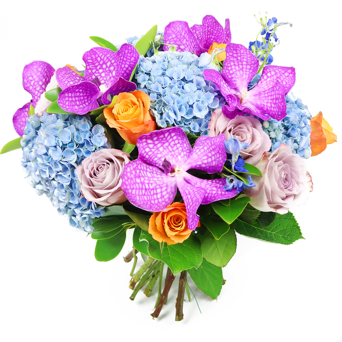 This luxurious hand-tied bouquet is presented against a clean, white background, making every bloom stand out as clearly as if it were being described across a florist's counter in Gerrards Cross. Several large Vanda orchids in vivid magenta and fuchsia are the stars of the piece, their broad petals covered in an intricate lattice of white speckles that give a marbled, almost digital pattern. They are thoughtfully spaced throughout the design, creating moments of high drama and exotic flair. Supporting them is a substantial bed of sky-blue hydrangeas, forming a rounded, domed base. Each hydrangea head is composed of numerous tiny, papery florets, which together suggest fluffy clouds or rolling waves of colour, reminiscent of peaceful skies over Chalfont St Peter and the surrounding countryside. Interwoven among these are classic roses that introduce warmth and romance: some in a joyful shade of orange, with tight whorls of petals just beginning to open, and others in muted lavender-grey and dusty mauve tones, which lend a refined, almost vintage softness. Delicate sprays of deeper blue accent flowers, similar to slender-stemmed delphiniums, peek out from the main blooms, punctuating the arrangement with darker notes and a sense of movement. Around the edges, broad, glossy green leaves frame the bouquet, giving it structure and the feeling of having been freshly gathered from a well-kept garden near Bulstrode Park. At the bottom, the natural stems are visible, neatly cut and bound, showcasing the care and craftsmanship behind the piece. The overall impression is of a rich, textural composition that balances cool blues with warm oranges and sophisticated purples, making it ideal for a special celebration, an elegant dinner party in Gerrards Cross, or a meaningful floral gift delivered the same day.