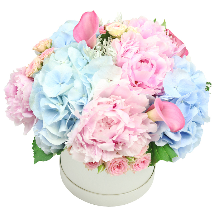 A stunning and luxurious floral arrangement comes together in an elegant light grey matte round hat box, positioned centrally against a clean white backdrop. The bouquet is densely packed and beautifully composed, blending pastel pinks with soft baby blues to create a voluminous, romantic display. The prominent blossoms are large, fluffy pink peonies, their ruffled petals in a spectrum of blush tones. Interspersed are generous clusters of baby blue hydrangeas, their intricate florets adding a breezy texture and a cool counterpoint to the warm pinks. Two vibrant pink calla lilies rise like graceful lances above the rest, while near the rim delicate sprays of tightly budded rosy sprays add texture and a classic touch. Silvery foliage, possibly dusty miller, and fresh green leaves peek through to give depth and a natural feel. This refined arrangement feels perfect for weddings, anniversaries, or elegant birthdays, and it travels well for Gerrards Cross deliveries to nearby Chalfont St Peter, Denham, or Beaconsfield, where it can become a centerpiece or a thoughtful gift.