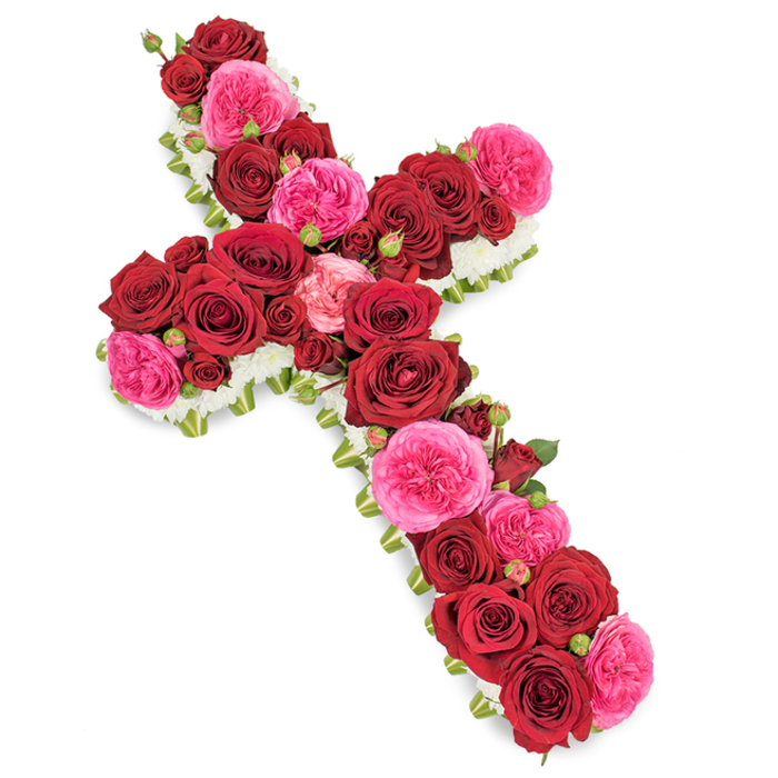 This image shows an impressive funeral flower cross, carefully arranged to create a meaningful tribute that would feel at home in any Gerrards Cross church or crematorium chapel. The cross is completely covered with roses in a palette of deep crimson red and vivid fuchsia pink, so closely set that no base is visible. Large red roses dominate the central panels of both the upright and crossbar, their petals velvety and full, some blooms opening into generous rosettes with darker centres that convey depth and gravity. Between them, plump fuchsia pink roses or garden-style varieties add a burst of colour, their frillier petals catching the light and offering a gentler, more comforting tone amid the solemnity. Here and there, smaller rosebuds and partially open blooms in matching shades break the surface, adding dimension and suggesting the enduring nature of love and memory. Encircling the cross is a tidy border of tiny white flowers-possibly spray chrysanthemums or miniature carnations-placed tightly together to form a crisp edge that clearly defines the sacred silhouette. Delicate strands of green foliage and perhaps a narrow ribbon trim peek from the sides, giving a fresh frame without drawing attention away from the roses themselves. The cross sits against a clean, white background under balanced light, free of shadows, so its colours and structure are unmistakable. Imagined resting near the altar of a local church off Packhorse Road or displayed beside a coffin at a service close to Gerrards Cross Common, this design represents a thoughtful, traditionally styled expression of sympathy and Christian faith from an experienced neighbourhood florist.