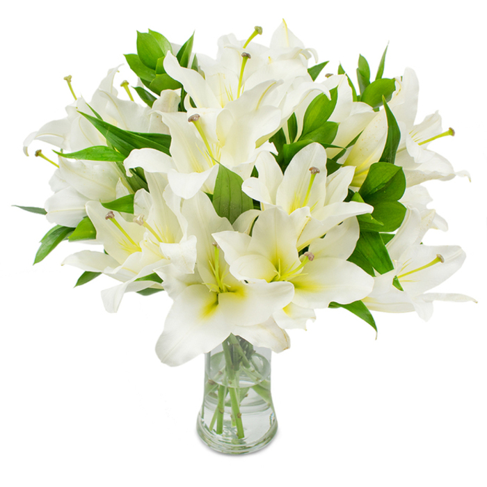 A strikingly pure composition of white lilies occupies the view, each blossom presenting multiple layers of immaculate white petals that unfurl in soft arcs, their edges catching a gentle light. At the centre of several flowers a faint cream or pale yellow-green hue deepens toward the throat, adding a whisper of warmth that enriches the otherwise crystalline whites. From within these throats slender stamens extend - pale greenish-yellow filaments topped with soft brown anthers - lending tactile detail and a subtle, earthen contrast to the luminous petals. The bouquet is abundant and intentionally dense: fully open flowers sit alongside partially opened buds, giving the arrangement a living rhythm and a feeling of poised fullness. Rich, dark green, elongated leaves thread through the blooms, their satin sheen and sculpted shape framing each flower and emphasizing the arrangement's volume. The blooms are arranged in a clear, classic glass vase with a gently flared neck; the water inside is clean and reflective, making the pale green stems visible as they descend and anchoring the display. The visual language here is quiet and elegant - purity, solace, and refined beauty - suitable for moments of remembrance, ceremonial floral tributes, or simple, sophisticated home decor. As a seasoned florist serving Gerrards Cross and neighbouring communities like Denham and Chalfont St Peter, I compose this kind of bouquet to read well in daylight or soft evening interiors, where its scent and silhouette offer comfort and gentle dignity.