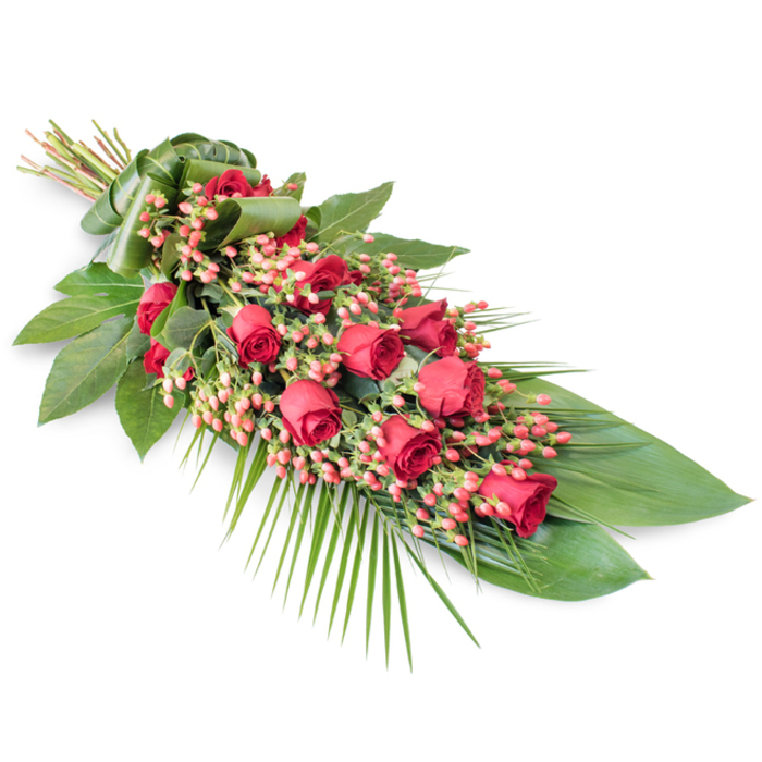 Set on a spotless white background, this refined funeral spray appears almost to float, its diagonal layout leading the eye along a gentle, tapering line from the clustered stems at the top left to the trailing foliage at the lower right. The main focus is a generous run of red roses arranged with deliberate precision. Each bloom tells its own quiet story: some are in tight, rounded buds, others are just beginning to unfurl their petals, and a few are fully open, revealing deep, velvety centres that seem to glow with a rich crimson hue. Nestled between these roses are plump clusters of pinkish-red Hypericum berries, their small, bead-like forms adding a delicate texture and a touch of softness to the bold red tones. The flowers are supported by a bed of lush greenery, where broad, dark green leaves overlap like protective hands, forming a strong base that cradles the blooms. From the lower portion of the spray, airy palm fronds arc away from the centre, their slender, feathery lines giving the whole tribute a sense of movement and natural grace. At the top, the rose stems are neatly gathered and encased in a smooth band of wrapped green leaf, creating a polished handle that reinforces the formal, respectful character of the arrangement. The overall silhouette is elongated and slightly teardrop-shaped, making it ideal for placement beside a coffin, at a graveside, or near a memorial table in Gerrards Cross. With its classic combination of deep reds and rich greens, this floral tribute conveys solemn love, gratitude, and remembrance, offering a serene presence during moments of farewell.
