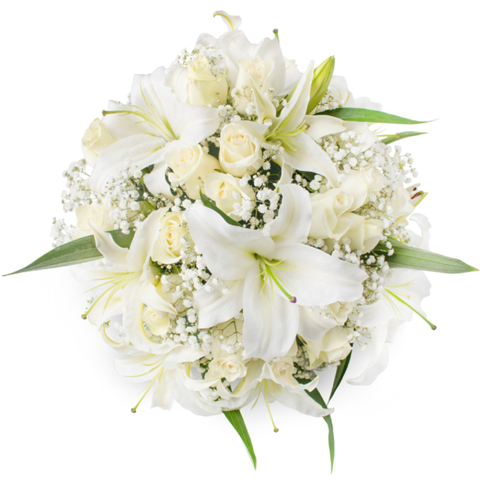 From a bird's-eye view set on a pristine white background, this hand-tied round bouquet reads as a minimalist celebration of white florals and expert technique. Prominent white oriental lilies open wide with distinctive trumpet forms and subtle greenish stamens, some showing a slight shading toward their centers that creates visual depth against the lily's luminous petals. Threaded between these focal blooms are clusters of cream and ivory roses, largely in bud stage or partially unfurled, their velveteen petals arranged in tight, tactile spirals that invite a gentle touch. Tiny clouds of white Baby's Breath (Gypsophila) nestle into the spaces, offering delicate, frothy texture that lightens the composition and gives it an almost painterly softness. A scattering of vibrant green leaves encircles the arrangement, peeking out at the edges to define the circular silhouette and offer a fresh contrast to the monochrome palette. The bouquet's dense, symmetrical build and refined hues convey traditional symbolism-purity, new beginnings, and heartfelt sentiment-making it an appropriate choice for bridal bouquets, ceremonial centrepieces, or serene memorial tributes. The photograph's even, soft lighting highlights the subtle interplay of texture between the lilies' satiny surfaces and the roses' layered velvet, while evoking quiet mornings near Gerrards Cross station or the calm greenery of nearby Burnham Beeches. This image reads as both classic and contemporary, a crafted piece intended to comfort and celebrate in equal measure.