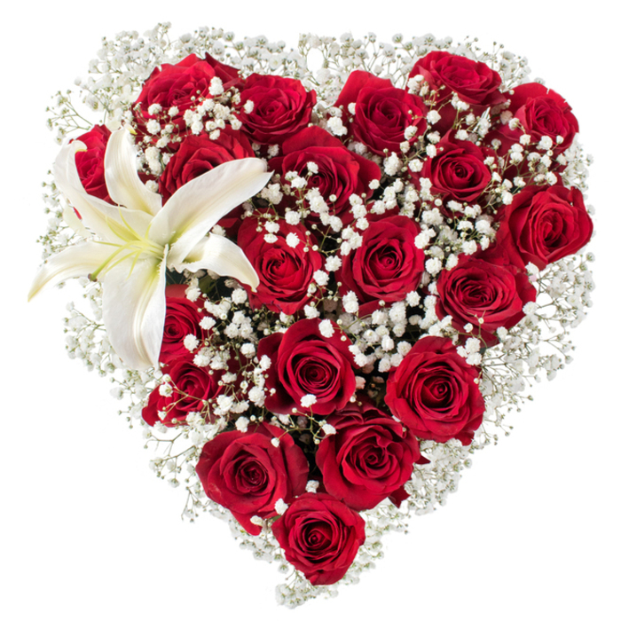 Against a spotless white backdrop, this heart-shaped floral piece presents a study in romantic contrasts and careful floral engineering. The heart is built from numerous deep crimson roses, their soft, velveteen petals arranged in tight clusters that give the form weight and a luxurious, tactile density. Scattered among those crimson heads are soft clouds of white baby's breath (Gypsophila); these tiny, starry blooms drift between the roses and along the margin, lightening the silhouette and introducing a whisper-thin texture that catches the eye. Anchoring the upper-left arc is a single, elegantly open white lily-its broad, sculpted petals are pristine, shading to a gentle cream toward the center, where delicate yellow stamens register like a quiet, warm note. The visual rhythm alternates between the rounded, plush rose blooms and the feathery gypsophila, punctuated by the lily's architectural presence. Lighting is even and clear, letting the rich reds deepen and the whites read pure, while shadows emphasize petal layering and the heart's three-dimensional fullness. Scent is implied: a heady, classic rose perfume balanced by the lily's fresher, green-tinged breath. This meticulously arranged heart conveys deep affection, suited to romantic occasions, commemorations, or a thoughtful gift carried across the Chiltern towns to a loved one in Gerrards Cross, Burnham, or nearby Beaconsfield. The composition reflects an experienced florist's hand-precise, compassionate, and quietly luxurious.