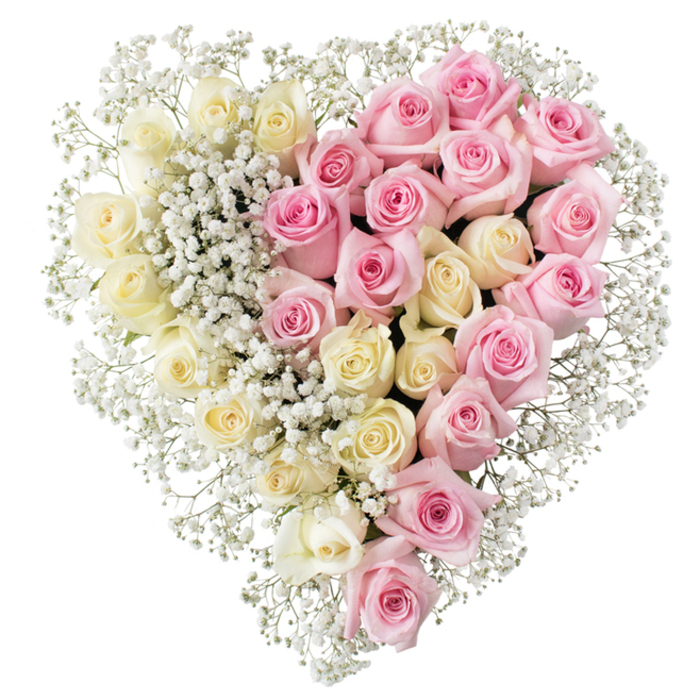 This image shows a large, meticulously crafted heart-shaped floral tribute, designed with the sensitivity and precision you would expect from an experienced funeral florist in Gerrards Cross. The arrangement sits against a plain white background, allowing every blossom and contour of the heart to be clearly defined. The heart itself is cleanly divided down the centre into two equal sides, each one densely packed with roses of a single, distinct colour. On the left, creamy white and pale yellow roses are positioned so closely that their petals almost overlap, creating a smooth, luminous surface. Their tones suggest light, peace, and a sense of gentle rest. On the right, medium pink roses mirror that density and fullness, but introduce a warmer, more intimate feeling, as if reflecting years of affection, shared laughter, and quiet moments. The roses on both sides are at a similar stage of bloom-open enough to show their layered spirals, but still fresh and structured. Threaded delicately throughout the heart are sprays of tiny, pure white baby's breath (gypsophila). These clusters fill the spaces between roses, soften the transition along the central divide, and trace around the outer curves and point of the heart, almost like a soft lace border. The gypsophila gives a cloud-like, ethereal quality, making the tribute feel light despite its fullness. This heart would be fitting at a memorial or funeral held near Gerrards Cross Common or in one of the town's peaceful chapels, offering a visual message of unity between remembrance and enduring love. The overall effect is one of quiet elegance and heartfelt respect, a floral symbol that gently cradles grief while honouring a deeply cherished life.