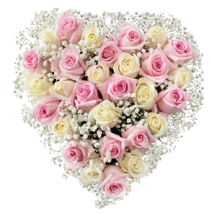 Centered in this image is a remarkable heart-shaped floral design, hand-arranged in Gerrards Cross by a florist attuned to the area's unique character. The arrangement is densely woven with thirty to thirty-five roses, displaying alternating shades of soft pink, delicate blush, and creamy white with occasional hints of pale yellow-each bloom perfectly formed to reveal spiraling, velvety petals. Interspersed are airy sprays of white baby's breath, their miniature blossoms offering textural contrast and lightness, weaving through the heart to create a sense of openness and serenity. Bathed in even, natural light, the flowers' pastel tones stand out vibrantly against the crisp white background, evoking freshness and quiet grace-qualities cherished in Gerrards Cross, perhaps reminiscent of a misty morning on West Common. Every detail speaks of care and intention, from the chosen shades echoing springtime in Bulstrode Park to the precise placement of each stem. Crafted for funerals or heartfelt tributes, this arrangement conveys messages of love, remembrance, and peace, making it ideal for display in local chapels or as a meaningful gift for families coping with loss. The bouquet's beauty lies in its balance and subtlety, and its sense of gentle solace is perfectly matched for expressions of sympathy in this close-knit South Buckinghamshire community.