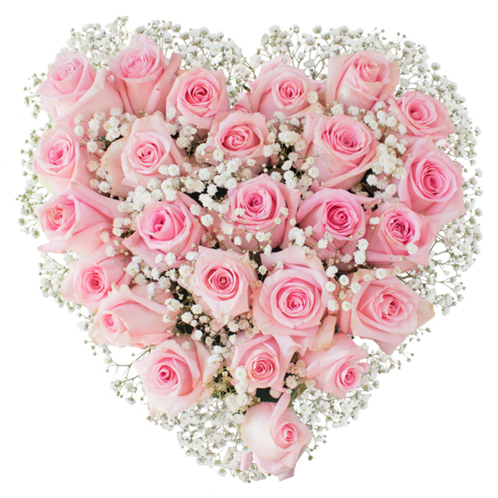 Carefully arranged into a perfect heart and set against a stark white background, this composition features a generous assembly of soft pastel-pink roses, each bloom placed to create a continuous, velvety mass of petals. The roses vary slightly in shade - from almost ivory-pink at the outermost petals to a deeper, warm pink toward the centres - and are positioned so some remain tightly furled while others sit more open, giving the surface of the heart subtle rhythm and depth. Woven among the roses are numerous tiny stems of white gypsophila (baby's breath), their miniature, cloud-like blossoms providing a bright, textural counterpoint that both defines the heart's outline and lightens the overall visual weight. The photographer's bright, neutral lighting brings out the satin finish of the petals and the airy translucence of the gypsophila, while small, cool shadows between blooms emphasise the bouquet's three-dimensional structure. The arrangement is a quiet study in romantic restraint - classic, elegant and meticulously constructed - and it reads as an emblem of deep affection: fitting for Valentine's Day, an anniversary, a wedding moment, or a compassionate floral tribute. From a practical florist's perspective, the balance here is crucial: dense rose placement for luxurious impact, balanced by the fine lace of baby's breath to avoid heaviness and to invite tactile closeness and gentle appreciation.