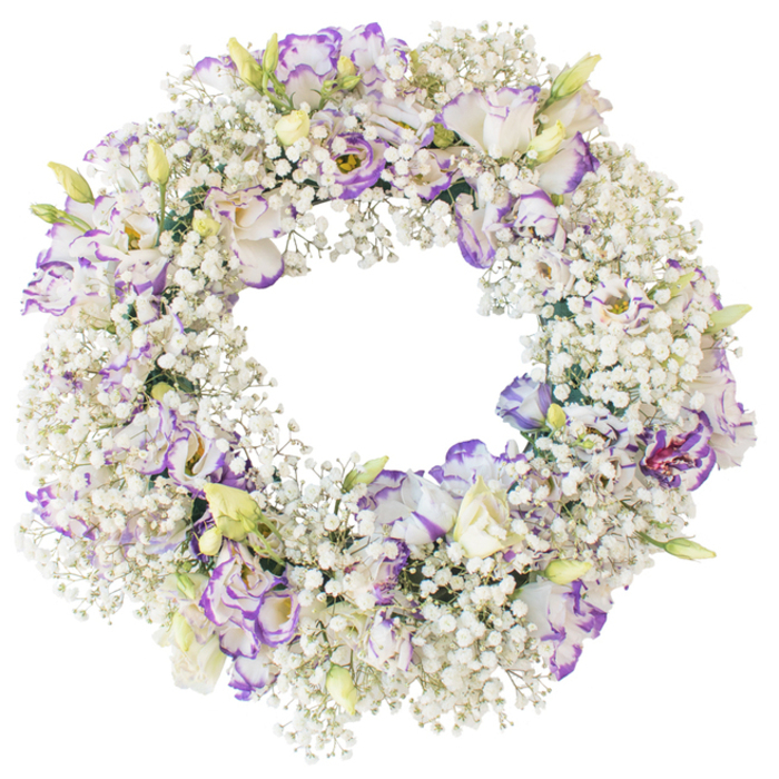 A refined circular funeral wreath dominates the frame, set alone against a clean white background that emphasises its delicate construction. The ring itself is completely cloaked in Baby's Breath, each tiny white flower forming part of a dense, cloud-like tapestry that covers the entire circumference from inner rim to outer edge. The texture is intricate yet soft, suggesting something between lace and mist. Mingling with this snowy foundation are clusters of Lisianthus blooms, their ruffled petals unfolding in elegant spirals. These blossoms are predominantly pure white but carefully edged and lightly veined with tones of lavender, lilac and rich purple, giving them a hand-painted appearance. Scattered among the open flowers are slender buds and partially opened heads, flushed with pale green and soft cream that promise more colour to come. The Lisianthus are thoughtfully spaced so that no section of the wreath feels too heavy; instead, the violet accents seem to gently turn around the open centre, guiding the eye in a soothing circular motion. The absence of strong foliage keeps the design airy and serene, reminiscent of a still, bright morning over the leafy streets of Gerrards Cross and the paths leading towards Austenwood. The wreath's central void remains clearly visible, underscoring the symbolism of continuity, eternity and the unbroken bond of love that continues even after loss. This kind of arrangement would be well-suited for a funeral, cremation service, or graveside tribute, where families wish to express sympathy and grace in a subtle yet beautifully crafted way. Every detail suggests the steady hands and experienced eye of a professional florist, carefully composing a final gesture of peace, remembrance and gentle farewell.
