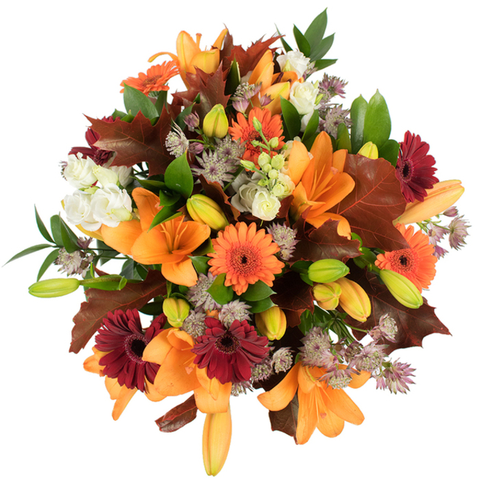 Viewed from above against a clean white surface, this lush autumn bouquet reads like a small harvest gathered from hedgerows and market stalls close to Gerrards Cross. Several prominent, fully opened orange Asiatic lilies form the visual core, their wide petals folding back in a graceful trumpet silhouette that catches the light and throws soft, warming reflections. Around them, bright orange Gerberas and deep burgundy Gerberas alternate like sun and dusk, each bloom's radial petals creating rhythmic movement through the arrangement. Smaller, unopened lily buds in pale orange and green sit tucked between blooms, suggesting growth and continuity. Delicate ivory Lisianthus with layered, ruffled petals and sprays of muted purple Astrantia bring airiness and fine detail; the Astrantia's star-shaped clusters act as tiny constellations across the bouquet. Rich, lobed leaves in shades of maroon and reddish-brown - evocative of oak or mature maple - are distributed with a painter's eye to heighten the autumnal feel, while fresh green foliage and slender stems give the whole piece a living structure. The dense, rounded composition is fresh and abundant, the lighting bright and even so colours read true and textures feel tangible. The overall impression is one of warmth, hospitality, and seasonal celebration - an ideal centrepiece for a Thanksgiving table in a home near Packhorse Road or a thoughtful gift sent to friends in Beaconsfield or Denham. A viewer listening would learn this bouquet offers both immediate cheer and the quiet comfort of harvest-time beauty.
