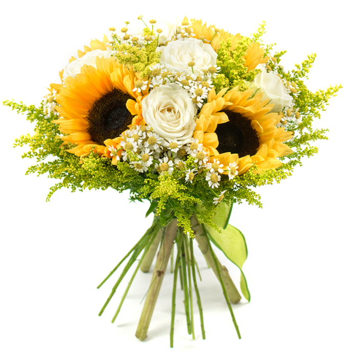 This carefully crafted bouquet stands out vividly against a clean white background, its mix of golden yellows, creamy whites, and lush greens suggesting a bright, happy day in Gerrards Cross. Dominating the composition are several large sunflowers, each with a deep brown, almost black centre packed with tiny seeds, ringed by layers of golden-yellow petals that extend outward like rays of sunshine. Interspersed between these bold blooms are refined white roses, their velvety petals spiralling inward to form classic, cup-shaped blooms. Some of the roses reveal a hint of ivory at their petal bases, lending a subtle depth and sophistication that works beautifully with the sunflowers' rustic charm. Fine clusters of small white daisy-like flowers, much like chamomile or feverfew, are scattered throughout the bouquet, each one featuring a miniature yellow centre that ties them visually to the sunflowers. These petite flowers add a light, intricate texture, reminiscent of wildflower borders along the quieter roads leading away from Gerrards Cross town centre. Surrounding and supporting the main blooms is a generous amount of feathery chartreuse foliage and filler, perhaps solidago or a similar plant, its tiny buds and slender stems forming a bright green cushion that gives the arrangement fullness and movement. The stems are cut to an even length and gathered tightly at the base, then wrapped with a cheerful lime-green ribbon that encircles the binding point and finishes in a simple, graceful tie. The bouquet's rounded, abundant form and harmonious colour palette convey feelings of joy, gratitude, and optimistic energy, making it perfectly suited to birthdays, thank you gifts, or seasonal celebrations. Created with the care of an experienced local florist, it feels like a natural extension of the greenery and open skies around Gerrards Cross Common.