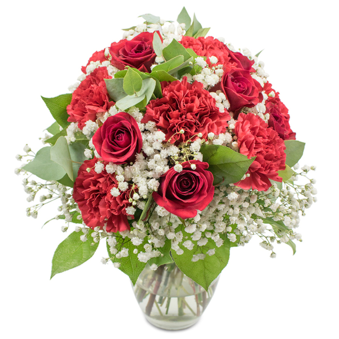 A classic red and white bouquet, full and perfectly rounded, sits proudly in a clear glass vase against a brilliant white background, as if it has just been carefully set down on a polished table in a quiet Gerrards Cross home. The dominant flowers are sumptuous red roses, six to eight of them clearly visible, their petals velvety and intensely coloured, spiralling tightly inwards with a hint of movement at the outer edges where they begin to unfurl. Surrounding and supporting these are clusters of red carnations, their densely ruffled petals forming layered, cushion-like blooms that lend a feeling of depth, comfort, and generosity to the arrangement. Between these bolder shapes, delicate sprays of white baby's breath weave through the design, each miniature flower forming part of a soft, cloud-like backdrop that appears almost weightless against the rich reds. Fresh foliage is interspersed throughout, including the traditional dark green leaves of the roses and the paler, round eucalyptus leaves, bringing notes of cool green and subtle silver that balance the warmth of the crimson flowers. The stems are gathered neatly in a simple vase with a slightly flared opening, the clear water catching reflections from the studio light and revealing the clean, professional conditioning of each stem, just as a seasoned Gerrards Cross florist would prepare before a local delivery. The lighting is bright and even, with no harsh shadows, highlighting every petal edge, ruffle, and leaf vein. The overall impression is one of timeless romance and celebration, suited to anniversaries, Valentine's surprises, or heartfelt thank-you gifts delivered across Gerrards Cross and nearby leafy lanes.