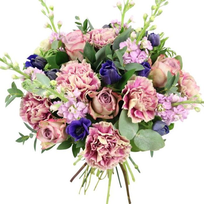 A sophisticated, hand-tied bouquet is captured against a bright white background, its colours and contours standing out as clearly as if you were viewing it on a counter in a Gerrards Cross flower studio. Dominating the composition are lush garden roses in muted blush, dusty rose, and antique mauve tones, their many-layered petals opening in classic spirals that suggest romance and timeless elegance. Nestled closely among them, voluminous carnations create a soft, cloud-like halo; their ruffled petals move from creamy beige and pale blush at the centre to warm pink and plum-coloured edges, adding depth and gentle movement. Piercing this sea of pinks are rich indigo-blue accents: compact, tulip-like blooms and anemone buds that contribute a striking, jewel-toned contrast. At the lower front, an open royal blue anemone, with a velvety, near-black centre, becomes a natural focal point, anchoring the arrangement with drama. Rising lightly from within are slim stems of lilac and pale lavender stock, their clusters of tiny blossoms providing vertical interest and an airy, almost dreamlike quality, reminiscent of late spring evenings around East Common. The bouquet is framed by generous greenery: deep green rose foliage and round, silvery eucalyptus leaves that arch outward, introducing cool tones, texture, and an implied fresh, herbal scent. The visible stems are neatly bound at the base, signifying a freshly prepared, hand-crafted design ready for local delivery. With its balanced blend of romantic pinks, serene purples, dramatic blues, and lush greens, this bouquet feels especially suited for weddings, anniversaries, or marking meaningful moments with someone in or near Gerrards Cross.