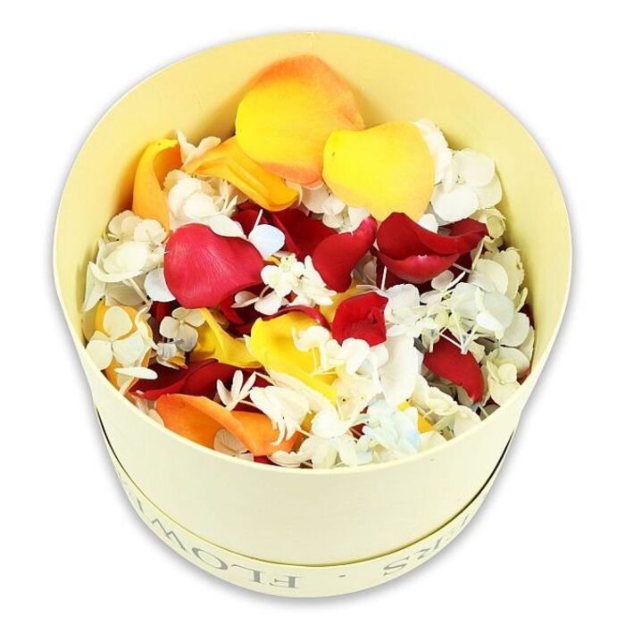 In this image, a cylindrical hatbox in a soft cream or pale butter yellow hue sits centred against a seamless white backdrop, presenting an understated yet luxurious floral tribute. The box, likely crafted from quality paperboard, bears a subtle embossed or printed FLOWERS motif around the rim, giving a nod to traditional florist hatboxes. It is filled to the brim with a dense mixture of dried rose petals and tiny florets, carefully mounded so the contents rise above the edge and appear ready to spill in a gentle cascade. The colour palette moves from deep, velvety crimson reds to cheerful sunny yellows and mellow peach-orange petals, each petal curling slightly and showing delicate variations in shade. Interspersed between these bold tones are countless small white hydrangea-like florets, some tinged with the faintest suggestion of pale blue, adding airy lightness and fine texture. Viewed from a slightly elevated, overhead angle, the viewer can distinguish individual petals and blossoms, their preserved surfaces matte rather than glossy, suggesting a natural, eco-conscious tribute. The overall mood is calm and contemplative, making this arrangement suitable as a funeral or memorial accent in Gerrards Cross, perhaps displayed on a remembrance table in a local chapel or used as soft, natural confetti at a graveside farewell. The pure white background isolates the piece, emphasising its gentle beauty and the thoughtful craftsmanship behind such a curated mix of dried petals, lovingly put together in the spirit of honouring a life with grace and tenderness.