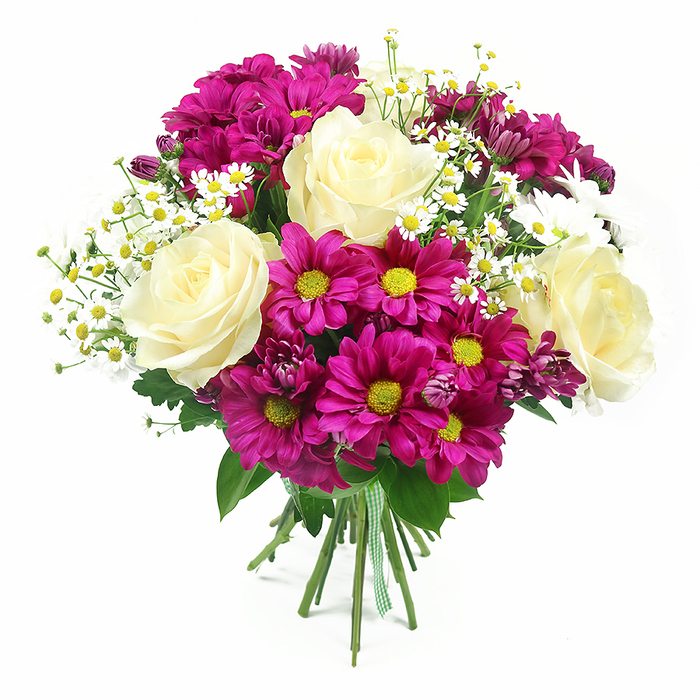 This image shows a lush, rounded bouquet positioned upright against a pristine white background, allowing each flower and texture to take centre stage without distraction. Prominent in the arrangement are several large, fully bloomed roses in a creamy white that softly transitions into a gentle butter-yellow at the core, each rose forming a classic, spiral rosette that exudes understated luxury. Around and between them, clusters of brightly coloured chrysanthemums in rich fuchsia and magenta create a vivid ring of colour, their many slim petals curving around contrasting yellow-green centres that seem to glow like fresh foliage after rain in Gerrards Cross's quiet residential streets. Threaded through this bold colour are airy sprays of small white daisies, very similar to chamomile or feverfew, their delicate petals and tiny golden centres providing a light, almost whimsical touch, as if they were picked from a cottage garden near Bulstrode Way. A few deeper-toned chrysanthemum buds in darker purple-pink tuck into the design, offering a sense of depth and anticipation, as though the bouquet continues to unfold. Lush green foliage, including glossy rose leaves and textured chrysanthemum greens, forms a natural cradle that lifts the blossoms and sharpens the colour contrasts. The stems are tightly gathered and trimmed to an even length, then wrapped with a charming green and white gingham ribbon tied neatly around the base, adding a homely, crafted detail that suggests care and local expertise. Lit with soft, balanced light, every petal edge and leaf vein is visible, projecting freshness and making this design ideal for representing celebratory flower delivery around Gerrards Cross, from thoughtful thank-you gifts to bright, uplifting surprises.