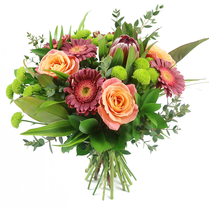 Photographed against a bright white background, this hand-tied bouquet appears full, rounded, and thoughtfully composed, as though just finished by a skilled local florist in Gerrards Cross preparing it for doorstep delivery. At its heart, several large roses open in lush spirals, their petals tinted in a warming palette of peach, coral, and apricot, some showing paler, almost cream-coloured rims that blend gently into richer orange tones toward the centre. These romantic roses are surrounded by striking Gerbera daisies in deep magenta and burgundy hues, their numerous slender petals arranged in perfect circles around textured central disks that are slightly lighter, giving the eye somewhere to rest amid the saturated colour. Rising towards the upper section of the bouquet, a dramatic King Protea commands attention with its unusual, almost architectural form; its layered bracts shift from deep reddish-brown and maroon to subtle blush pink at the spiked tips, adding a bold, contemporary edge that would look at home in one of the elegant houses lining Fulmer Road. Threaded throughout the design, bright lime-green Santini chrysanthemums provide a playful counterpoint, each small, button-like bloom forming a tight pom-pom that breaks up the larger shapes and injects a feeling of freshness. The entire arrangement is cradled by an abundance of foliage: glossy, broad green leaves form a supportive base, narrow, sword-like blades add lift and structure, and soft, rounded eucalyptus leaves with a silvery-green cast lend a natural, airy softness. Visible at the bottom, the neatly gathered stems confirm the bouquet's hand-tied craftsmanship. The overall impression is of a modern yet inviting floral gift, perfect for celebrating milestones, expressing gratitude, or bringing a burst of colour and life into homes across Gerrards Cross and the surrounding Buckinghamshire villages.