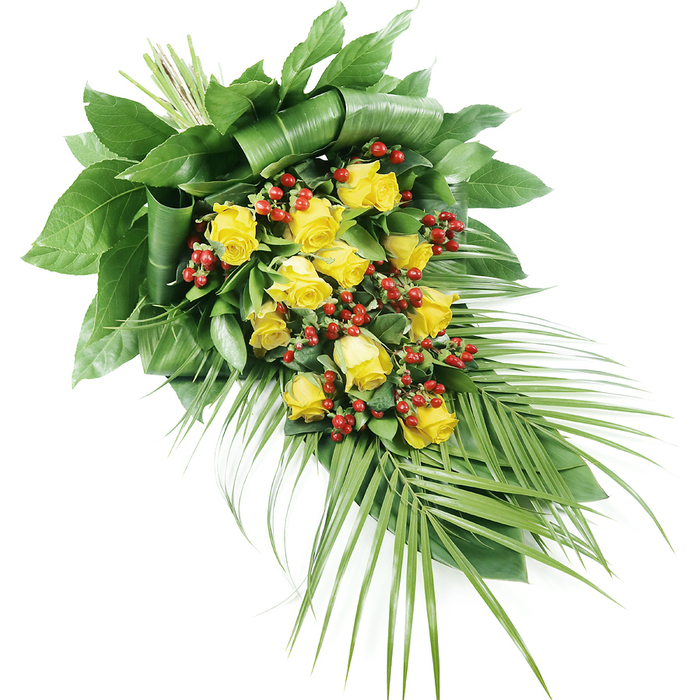 An elegant, teardrop-shaped funeral spray featuring yellow roses and red berries is displayed against a crisp white background, allowing every line and colour to be clearly seen as it would appear at a memorial in Gerrards Cross. The spray is arranged to taper from a generous, leaf-wrapped head at the upper left to a soft, pointed tip at the lower right. At its core sit approximately fifteen to twenty yellow roses, their petals a glowing, golden hue reminiscent of soft evening light over West Common. Some blooms are tightly wound, promising more to come, while others open out in concentric layers, creating lush cups of velvety texture. Between these roses run delicate rivers of small, spherical red Hypericum berries, each cluster offering a bright, jewel-like contrast that enlivens the whole composition. The supporting foliage is thoughtfully constructed: broad, dark green leaves are folded, looped, and layered at the top, forming a firm, sculptural backing that holds the flowers gently forward. Beneath and along the length of the spray, mid-green leaves fill the spaces, softening edges and adding depth. From the bottom right, long, feathered palm-style fronds arc outward, their fine, pointed leaflets providing a sense of graceful motion and extending the spray's visual reach. The stems are tidily bound and hidden, suggesting the practiced hands of a local florist accustomed to creating tributes for services at nearby churches and crematoria. The overall effect is one of calm, dignified warmth, blending sunny yellow, deep green, and berry red into a thoughtful expression of remembrance and sympathy for families across Gerrards Cross.