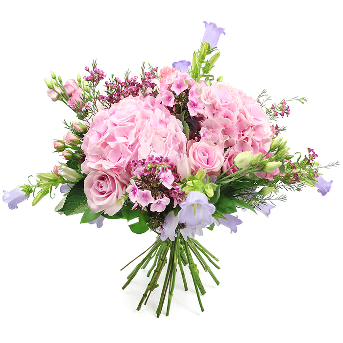 Captured against a pure white background, this hand-tied bouquet features a harmonious blend of soft pinks, gentle lavenders, and fresh greens, arranged with the same thoughtful care you'd expect from a local Gerrards Cross florist. Dominating the composition are two lush, rounded heads of blush pink hydrangeas, each bloom built from countless miniature petals that ruffle and overlap to form a cushiony, cloud-like mass. Intertwined with these voluminous hydrangeas are graceful light pink roses; some are fully open, their layered petals spiralling outwards in classic, romantic form, while others rest as elegant buds, their tighter contours adding structure and a sense of anticipation. Slender stems of bell-shaped flowers in pastel lilac and soft purple, reminiscent of campanula, emerge from various points within the bouquet, nodding gently as if caught in a breeze over the lawns near West Common.

Pockets of vivid fuchsia and deep pink filler flowers are peppered throughout the arrangement, lending flashes of intensity and dimension that play beautifully against the softer tones. These smaller clustered blossoms, similar to waxflower or delicate phlox, help to fill every gap, giving the bouquet its rich, rounded appearance. Around and beneath the blooms, fresh green foliage offers a contrasting frame, with leaves of varied shapes and textures catching the light and underlining the sense of natural abundance. The stems are visible at the bottom, trimmed neatly and bound together, signalling a hand-crafted bouquet ready for a vase on a dining table near the heart of Gerrards Cross. The mood conveyed is one of warmth, gratitude, and gentle festivity, making this arrangement perfect for anniversaries, milestone birthdays, thank-you gifts for hosts, or simply brightening a peaceful home looking out towards the Chilterns.