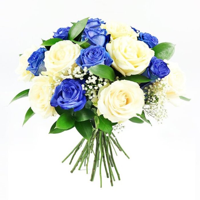 A sophisticated hand-tied bouquet of roses is shown in sharp focus against an uncluttered white background, the arrangement clearly crafted for a moment of quiet reflection. The flowers form a compact, rounded cluster, so full that almost no gaps can be seen between the blooms. Approximately half are dyed a rich sapphire and midnight blue, with layered petals that appear velvety to the touch, each rose opening into a deep, swirling heart. Intermingled with these are creamy ivory roses, some with the faintest blush of pale vanilla at their centres, others leaning closer to crisp white, creating an elegant counterpoint to the intensity of the blue. Threaded between the roses are fine, airy stems of white baby's breath, their numerous tiny blossoms giving the impression of soft mist or distant stars, lightening the overall composition. Around the perimeter, sprigs of dark, glossy greenery, similar to Ruscus, frame the bouquet and add a sense of natural movement, as though freshly gathered for a condolence visit to a home on Fulmer Road or a quiet house off Packhorse Road in Gerrards Cross. The long green stems are neatly aligned and tied together at the base, visible beneath the rounded mass of flowers, hinting at the bouquet's weight and freshness. Even, diffused lighting casts minimal shadow, bringing forward the textures and subtle colour variations in each petal. The mood of the arrangement is calm, respectful, and dignified, making it an ideal floral tribute for a funeral, a memorial service, or a thoughtful sympathy delivery to loved ones across Gerrards Cross and the surrounding villages.