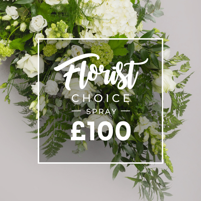 Exuding natural elegance, this white-and-green spray is showcased as a premium Florist Choice design, photographed against a soft grey backdrop that makes the blooms glow. A generous cluster of hydrangeas sits high and full, their ruffled petals forming a soft white mantle. White roses appear throughout in varying stages-newly opened, fully open-while slender lisianthus-like blooms peek between, their bell-shapes adding grace. The palette is extended with bold green foliage: feathery ferns cascading along the bottom, rounded eucalyptus leaves with a dusty green sheen, and deeper, glossy leaves that provide a crisp frame. The arrangement maintains a refined, contemporary silhouette, balanced and ready for a memorial tribute, sympathy gift, or elegant home decoration. A thin white rectangular border overlays the center, carrying the word Florist Choice in a flowing script, followed by SPRAY in uppercase sans-serif. At the bottom, the bold '?100' price anchors the composition. The overlay's gentle transparency lets the greens breathe through, keeping the piece feeling fresh and alive. For Gerrards Cross residents seeking dependable, classy floral design, this spray represents a trusted option from a local studio, ideal for same-day delivery to homes around The Broadway, Gerrards Cross Station, and nearby communities, adding a touch of calm sophistication to ceremonies or quiet spaces.
