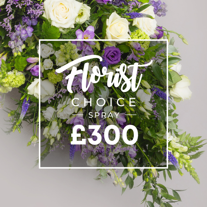 An elongated funeral spray of purples and whites rests on a soft grey background, designed to honor a loved one with understated grandeur. The central bloom is the ivory white rose, fully open and velvety, complemented by white lisianthus and white freesia to create a serene, luminous core. Surrounding them are tall purple accents-delphinium or larkspur-paired with smaller lavender-toned blossoms that whisper of dignity and grace. Greenery abounds: ferns and eucalyptus-like leaves weave through the arrangement, producing depth and a natural, late-summer glow. The spray widens into a sweeping, substantial form suitable for lying across a coffin or as a grand tribute at a remembrance service in Gerrards Cross. Soft, neutral grey backdrops let the colors breathe, while a semi-transparent white rectangle overlays the image. The upper line reads 'Florist Choice' in an elegant script, positioned directly above the word 'SPRAY' in bold uppercase. Beneath, the price '?300' gleams in clear white type, signaling premium value. This piece epitomizes the florist's thoughtful craftsmanship-modern yet timeless, designed to convey sympathy with grace and restraint. Crafted by a Gerrards Cross florist, it embodies care from The Broadway to local churches and crematoria, and is available for dependable, same-day delivery to homes and venues across the town. The overall mood is solemn yet uplifted, a refined tribute to a life remembered, suitable for memorial services, funeral home parlours, or quiet family gatherings where beauty offers solace.