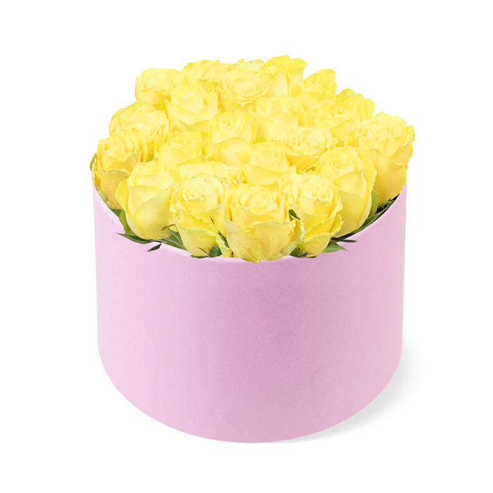 In this image, a stylish hat box arrangement of yellow roses appears almost like a piece of sculpture, poised against a spotless white background that highlights every nuance of colour and texture. The container is a neat, cylindrical box in a soft pastel pink, standing upright with clean, straight sides and a subtly matte finish that evokes a suede or velvet touch. It feels like the kind of elegant gift you might see carried down Packhorse Road in Gerrards Cross on the way to a birthday lunch. Filling the box is a dense cluster of yellow roses, their stems hidden so that only the blooms are visible, forming a perfectly domed canopy of petals. Around two dozen roses, perhaps a few more, are packed so tightly that they support each other, creating a lush, almost cushion-like top that rises slightly above the rim and seems to overflow with abundance. Each rose is at just the right stage of opening: petals unfurl gracefully from the centre, still holding a hint of tightness that promises longevity, yet open enough to show off their layered, spiralling hearts. The hue of the roses is a bright, cheerful yellow, with subtle variations where light grazes the petals, shifting from golden sunburst tones to pale, buttery shades at the edges. Small flashes of fresh green foliage peek discreetly between the blooms, bringing a whisper of garden freshness. The overall mood is one of joy, friendship, and optimism, making this arrangement perfectly suited to celebrating milestones, from a new home near Gerrards Cross Common to a quiet anniversary dinner. The composition feels modern but timeless, a sophisticated way to send warm wishes across the local community.