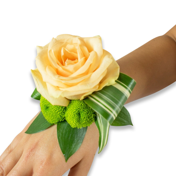 Displayed across the inner forearm of a person with a light to medium skin tone and set against a bright white studio backdrop, this wrist corsage is a study in refined contrasts and quiet romance. The central element is a single, generously bloomed rose in a pale peach or champagne-apricot hue, its layers of soft, curling petals forming a warm, tactile focus that seems to glow in soft light. Complementing the rose, two lime-green button chrysanthemums nestle beneath, their dense, almost spherical florets providing a sprightly, textural foil to the rose's smooth surfaces. Surrounding greenery is plentiful and purposeful: deep green salal or ruscus leaves build a lush foundation while a long, variegated leaf - likely ti or Dracaena with crisp white striping - is folded into a decorative arc that wraps subtly toward the wrist, lending structure and a modern, architectural flourish. The fastening is concealed, allowing the floral forms to appear as if naturally cradled by the skin. There is a faint, sweet trace of rose fragrance implied by the visual close-up, and the overall colour story - peach, lime, and layered greens - evokes both celebration and refined calm. As a Gerrards Cross florist who crafts pieces for local halls and homes along Packhorse Road and Oak End Way, I know how such a corsage can punctuate moments: worn during wedding vows, paraded at prom, or gifted at a family celebration. Flower Delivery Gerrards Cross prepares each wristlet with the same attention to balance, freshness and wearability so it reads beautifully in photographs and in memory.