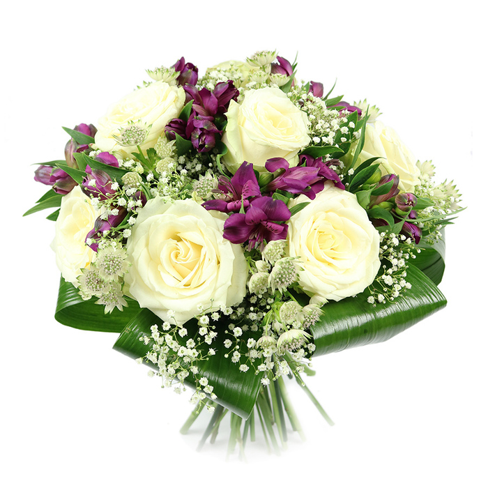 A sophisticated, dome-shaped bouquet is presented against a bright white studio backdrop, allowing the colours and textures of each bloom to shine without distraction. At its core, a generous gathering of creamy white roses creates a luxurious focal point, with six or more large heads fully open and facing different directions. Their petals are soft and velvety, spiralling inward with a sense of precision and harmony, evoking classic romance and understated elegance that would suit both a wedding reception in Gerrards Cross and a simple, heartfelt anniversary at home. Threaded through these roses are clusters of deep purple and magenta alstroemeria, also known as Peruvian lilies, their trumpeted flowers arching gracefully from slender stems. The petals show subtle striping and variation in tone, adding depth and visual interest. Some alstroemeria blooms are open and showy, while others remain in bud, promising continued unfolding beauty after delivery. Wispy sprays of white gypsophila wind delicately between the larger flowers, their tiny blossoms creating a soft, cloud-like veil that lightens the composition. Scattered among them, pale green-white astrantia heads offer a fine, bracted structure, adding a gentle, garden-inspired texture as though freshly cut from a border near Austenwood Common. Encircling the entire arrangement, wide, glossy aspidistra leaves have been folded and curved with care, forming a structured green collar that holds the bouquet in a tight, rounded silhouette. Their deep emerald hue contrasts beautifully with the lighter tones inside. The neatly cut stems are bound together at the base, just visible before fading into the white background. The bouquet feels thoughtful and composed, suited to occasions from birthdays and thank-you gestures to sympathy tributes, and would be a graceful choice for flower delivery anywhere across Gerrards Cross and the surrounding villages.