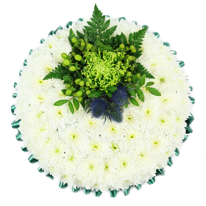 A carefully composed circular funeral cushion fills the frame, photographed straight from above so every element of the design can be appreciated. The base is a flawless mat of white chrysanthemums, likely spray or cushion forms, each bloom tightly clustered to create a perfectly even, snow-like surface. Their many layered petals give a plush, almost padded appearance, as if the flowers are forming a soft pillow of remembrance. Flecks of pale green in the flower centres add subtle depth to the expanse of white. Running around the circumference of the tribute, an emerald green satin ribbon has been neatly pleated, forming a decorative frill. The ribbon's smooth, reflective texture and rich colour set off the chrysanthemums beautifully, framing the piece with an elegant, tailored finish. Positioned at the upper centre of this floral canvas is a vivid focal display. A lime-green spider chrysanthemum, its narrow petals curling and twisting, stands out with its unusual form. Around it, sprigs of dark green fern and other foliage provide a feathery backdrop, while clusters of bright green Hypericum berries add rounded shapes and a dewy freshness. Two striking Scottish thistles, in dusty blue-violet tones, are tucked within the greenery, their spiky, globe-shaped heads and stiff leaves lending a distinctive, national character. The arrangement feels cool, composed, and dignified, perfectly suited to a memorial service or funeral gathering in Gerrards Cross. It evokes the quiet, leafy calm of local streets and nearby woodlands, a thoughtful tribute that could be chosen by families wanting a respectful, subtly Scottish-inspired design delivered to churches, chapels, or crematoria in and around the Gerrards Cross area.