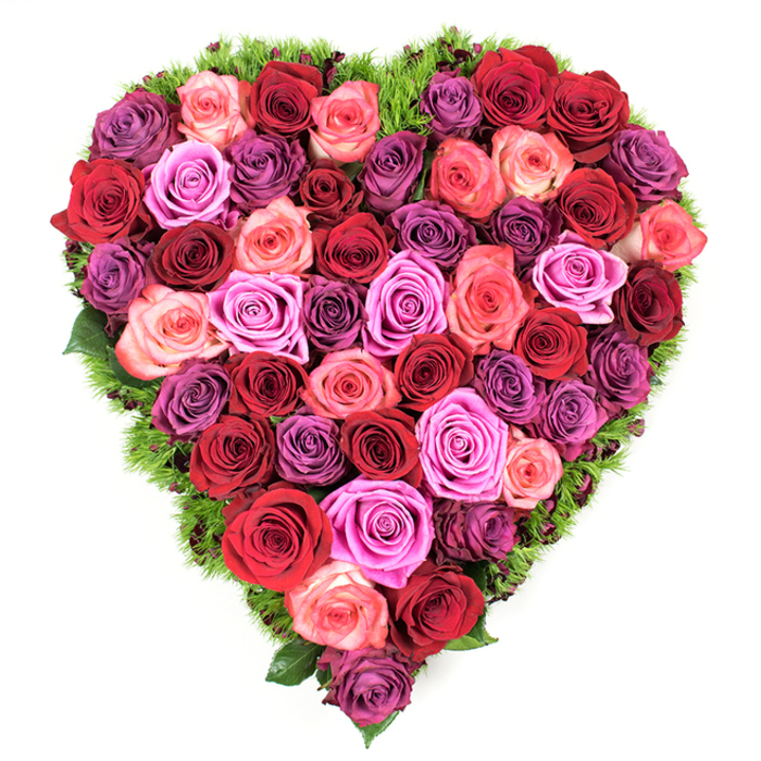 A meticulously arranged heart seen from above, made up entirely of tightly set roses that create a continuous, opulent surface of petals. The colour language is layered: the deepest burgundy and wine-reds anchor the design, moving outward through saturated crimsons and scarlets into softer coral and blush pinks, then punctuated by vivid magenta and fuchsia and softened again with touches of lavender and mauve for tonal variety. Each bloom is at its peak, petals unfurling in concentric curves that form a velvety texture under soft, diffused light; the centres remain slightly furled, indicating freshness and careful handling. Encircling the heart is a slim band of fine, dark green foliage - a moss-like or ferny trim that peeks between blooms and sharpens the heart's outline against the plain white setting. The arrangement's symmetry and compact construction speak of experienced hands: stems placed close to one another to prevent gaps, colours thoughtfully interspersed so warm and cool tones play across the surface like a painter's wash. This piece reads as both a passionate love offering and a solemn memorial, suited to Valentine's celebrations, anniversaries, or a dignified funeral tribute. The scent is imagined as classic rose perfume - warm, slightly honeyed, and comforting - like bouquets you might collect on an afternoon stroll through Gerrards Cross village, near the green or the shops along Packhorse Road, where flowers often mark life's meaningful moments.