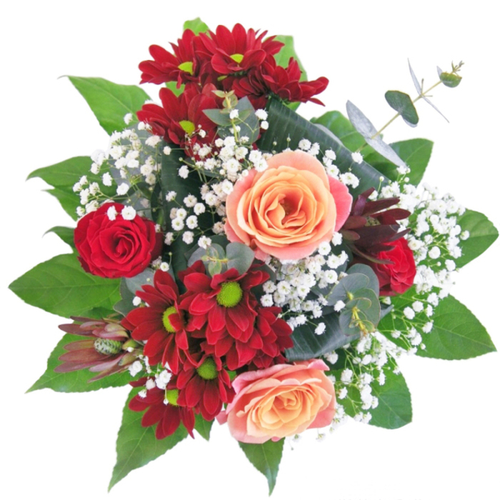 This Gerrards Cross bouquet captivates with a dynamic interplay of shape, colour, and local inspiration. Saturated red chrysanthemums and plush rosebuds set a bold stage, while creamy apricot and salmon roses soften the intensity, their hues recalling the gentle light that falls across East Common on an early evening. Between the blooms, float dainty tufts of white gypsophila-like dewdrops caught in morning grass beside Bulstrode Park-bringing an element of whimsy and grace. All are gathered artfully in a shimmering clear vase, the stems composed with architectural care reminiscent of the area's elegant Georgian homes. Lush green leaves encircle the arrangement, their waxen surfaces catching the sun much like foliage in Gerrards Cross's lush gardens. Each textural element invites touch: silken petals, buoyant gypsophila, and sturdy green stems combine to evoke a bouquet that feels at once contemporary and heartfelt. Its aroma is a harmonious blend of earthy greens and sweet roses, an echo of the seasonal scents carried on the breeze along Packhorse Road. This bouquet is perfect for expressing deep affection or welcoming new beginnings, designed for both celebration and everyday beauty. The care and expertise behind each placement ensures it uplifts any Gerrards Cross home, embodying the spirit of warmth and connection this community is known for.